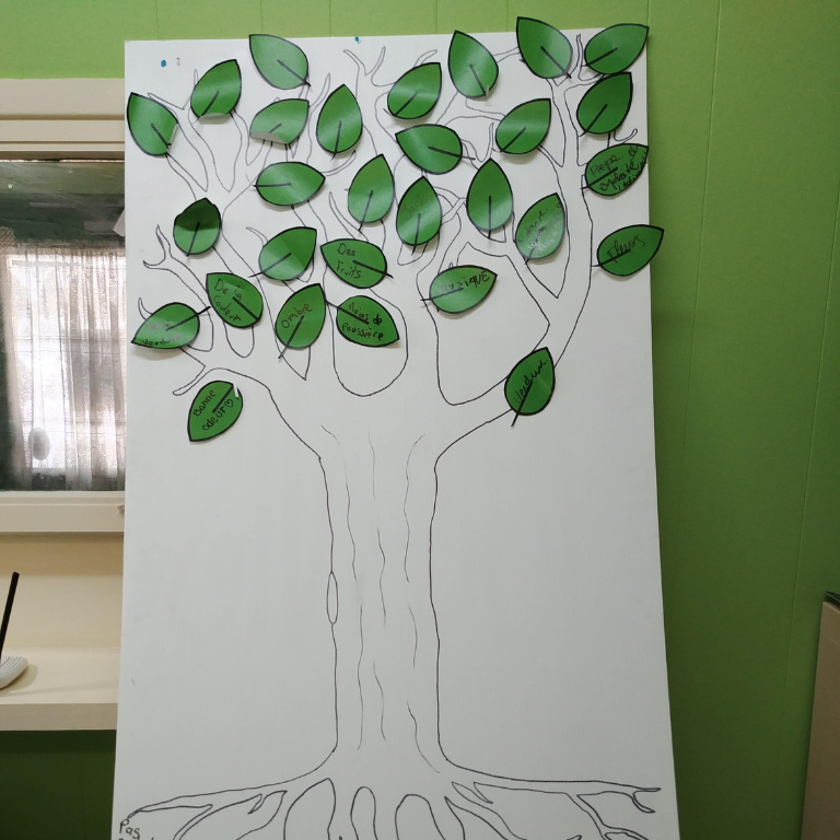 Atelier de vision